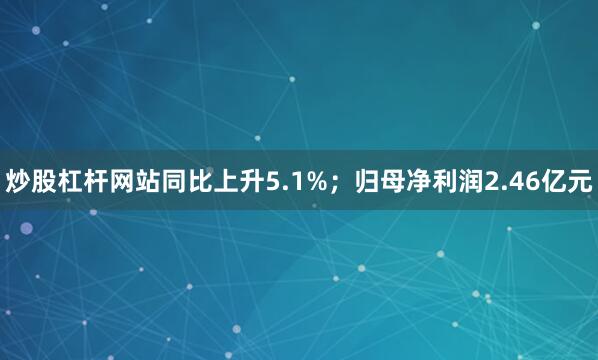 炒股杠杆网站同比上升5.1%；归母净利润2.46亿元