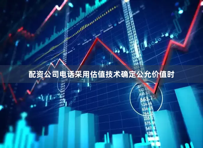 配资公司电话采用估值技术确定公允价值时