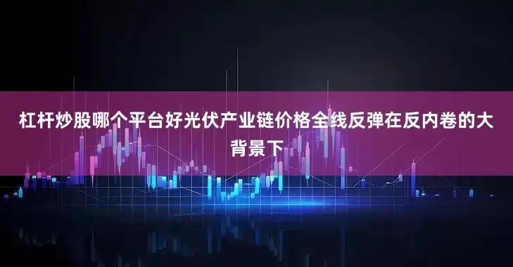 杠杆炒股哪个平台好　　光伏产业链价格全线反弹　　在反内卷的大背景下