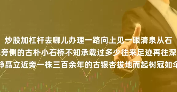 炒股加杠杆去哪儿办理一路向上见一眼清泉从石缝中涌流而出流水潺潺旁侧的古朴小石桥不知承载过多少往来足迹再往深处走一片断壁残垣静静矗立近旁一株三百余年的古银杏拔地而起树冠如伞盖般遮天蔽日待到秋来满树金叶簌簌飘落将这片密林染成一片灿烂的金黄沿途继续向上两侧林木愈发葱郁枝叶交错间漏下细碎天光行至深山一处开阔地眼前豁然开朗竟有几户人家栖息在此屋舍错落有致门前菜园打理得井井有条枝头的李子沉甸甸地压弯了腰活脱脱
