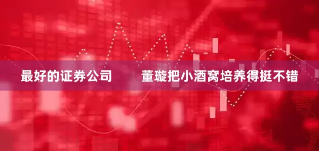 最好的证券公司        董璇把小酒窝培养得挺不错