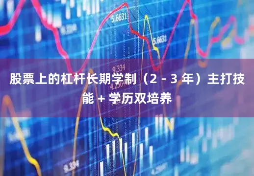 股票上的杠杆长期学制（2 - 3 年）主打技能 + 学历双培养